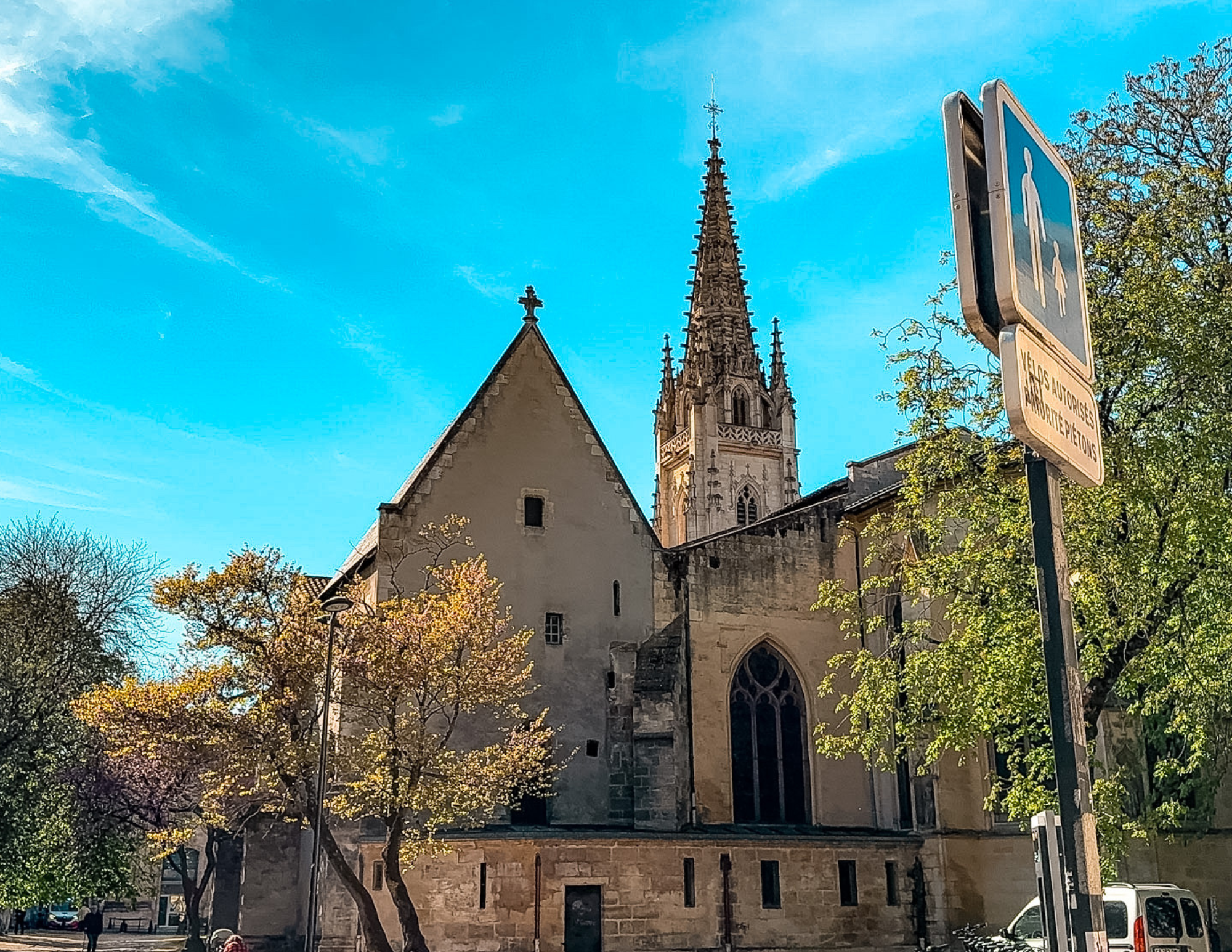 Bordeaux Travel Guide (8).png